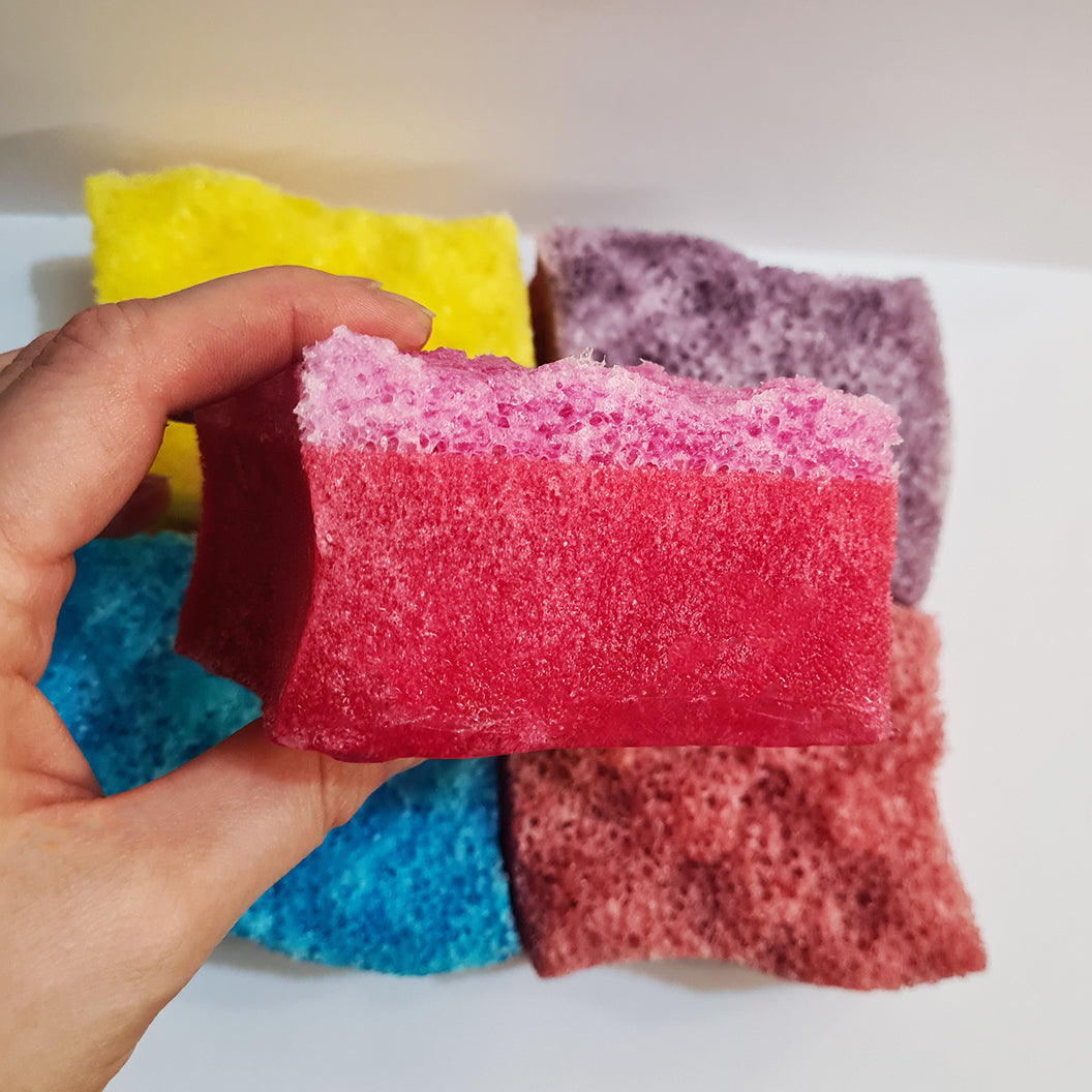 Soap Sponges